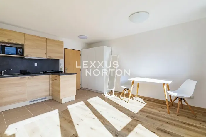 Pronájem bytu 1+kk, Praha - Smíchov, Nad Palatou, 35 m2