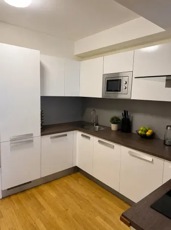 Prodej bytu 2+kk, Praha - Vysočany, Pod Harfou, 56 m2