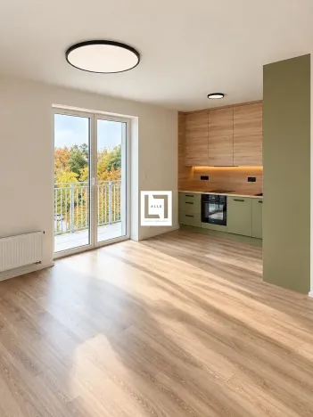 Pronájem bytu 1+kk, Ostrava, 27 m2