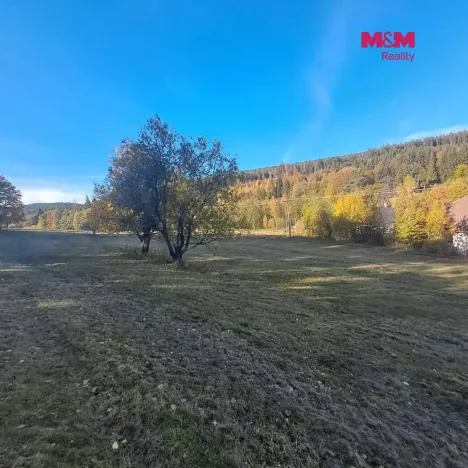 Prodej pole, Stará Ves, 8308 m2
