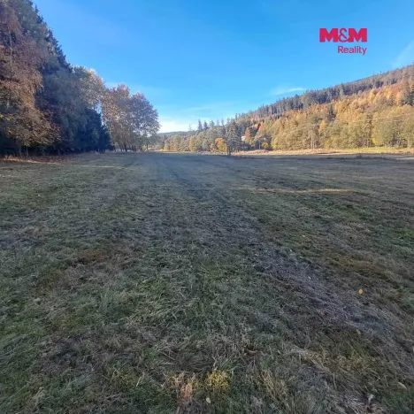 Prodej pole, Stará Ves, 8308 m2
