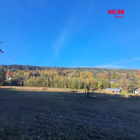 Prodej pole, Stará Ves, 8308 m2