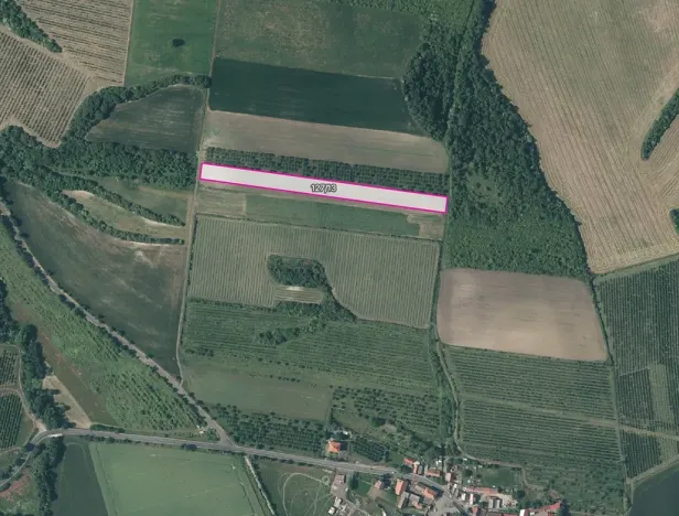 Prodej pole, Želkovice, 16344 m2