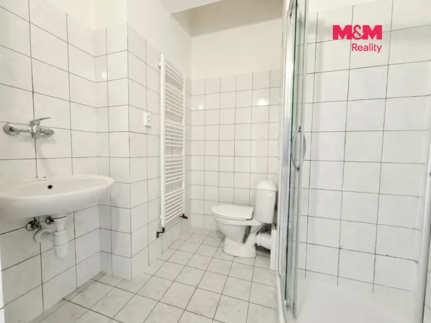 Pronájem bytu 1+kk, Praha - Dejvice, Koulova, 61 m2