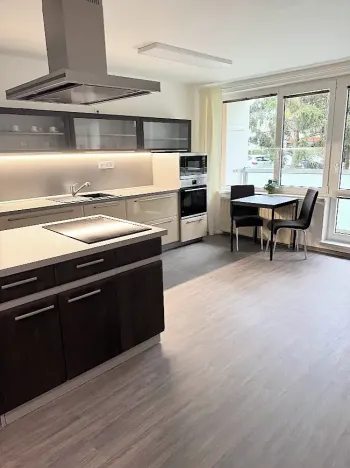 Pronájem bytu 1+kk, Jihlava, Kainarova, 46 m2