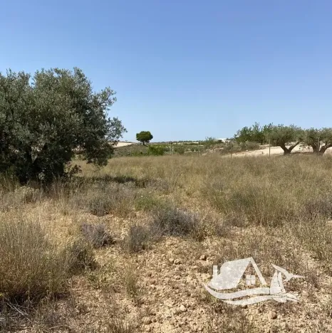 Prodej vily, El Pinós, Španělsko, 150 m2