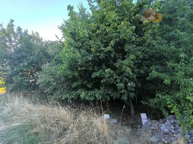 Prodej pozemku pro bydlení, Brodek u Konice, 3992 m2