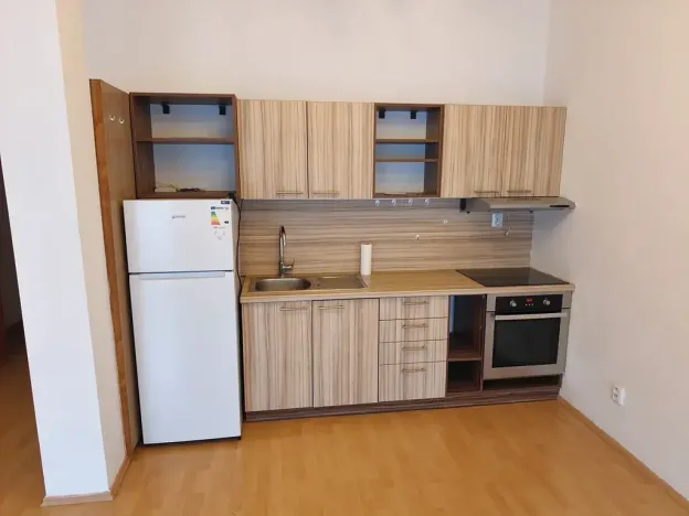 Pronájem bytu 1+kk, Brno, Wintrova, 50 m2