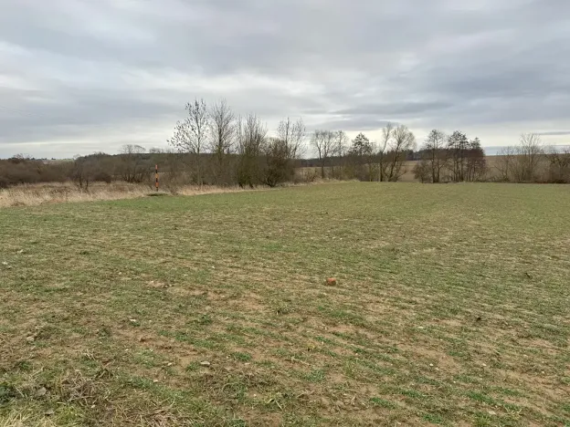 Prodej sadu/vinice, Malotice, 12163 m2
