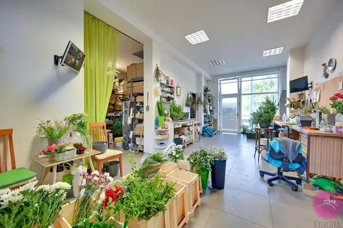 Prodej obchodního prostoru, Olomouc, tř. Míru, 140 m2