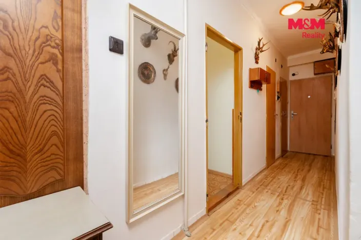 Prodej bytu 2+1, Heřmanova Huť - Vlkýš, Sídliště, 58 m2