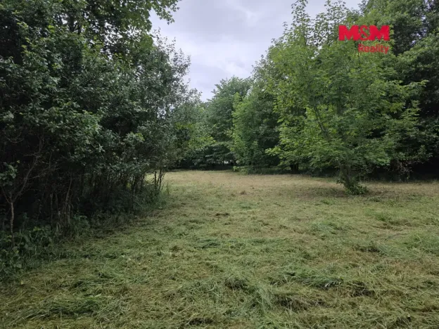 Prodej pozemku pro bydlení, Bor - Boječnice, 1115 m2