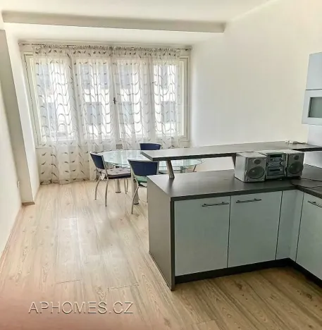 Pronájem bytu 2+kk, Praha - Karlín, Thámova, 46 m2
