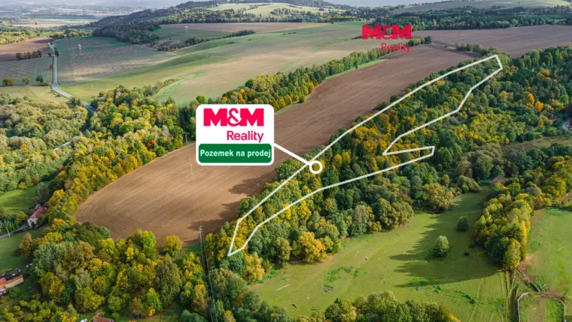 Prodej lesa, 29949 m², Opatov