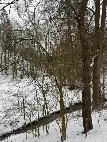 Prodej pozemku, 6437 m², Chotiměř