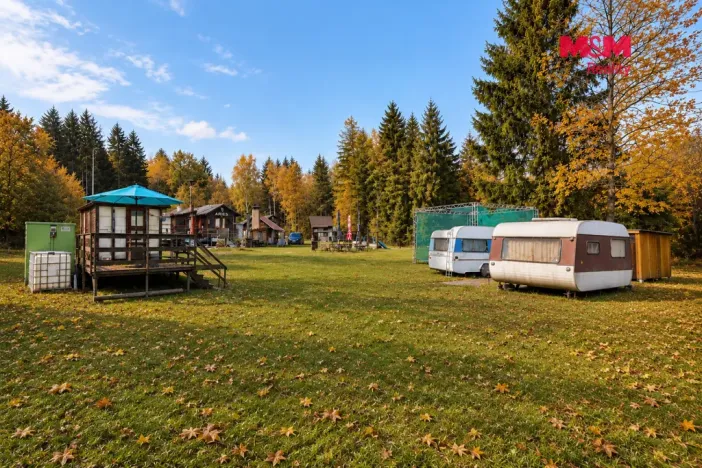 Prodej komerčního pozemku, Krucemburk - Staré Ransko, 21872 m2