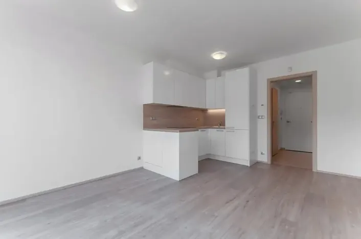 Pronájem bytu 1+kk, Praha - Vysočany, Bassova, 28 m2