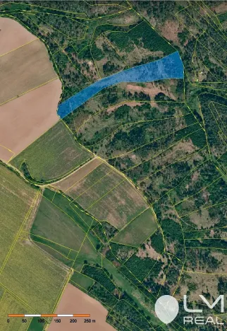 Prodej lesa, Čikov, 17924 m2
