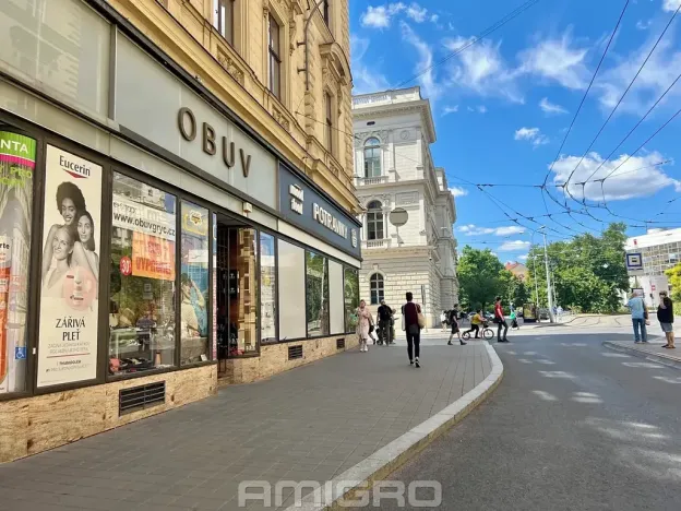 Pronájem komerčního prostoru, 63 m², Česká, Brno-město
