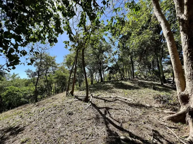 Prodej pozemku, Coxen Hole, Roatán, Honduras, 1884 m2