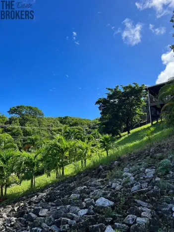 Prodej pozemku, Coxen Hole, Roatán, Honduras, 600 m2
