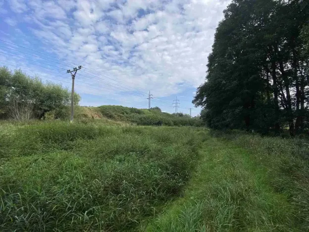 Prodej pole, Tachov, 2776 m2