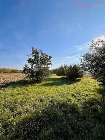 Prodej zahrady, 448 m², Veselí nad Moravou, Milokošť