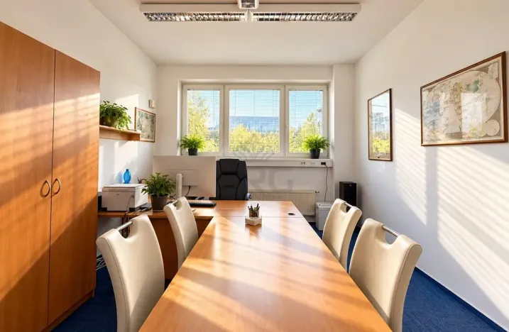 Pronájem komerčního prostoru, 26 m², Vídeňská, Brno, Dolní Heršpice