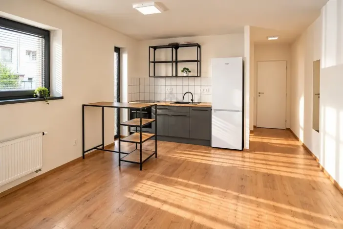 Pronájem bytu 2+kk, Brno - Štýřice, Sovinec, 42 m2