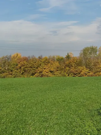 Prodej pozemku pro bydlení, Tuchlovice, 477 m2