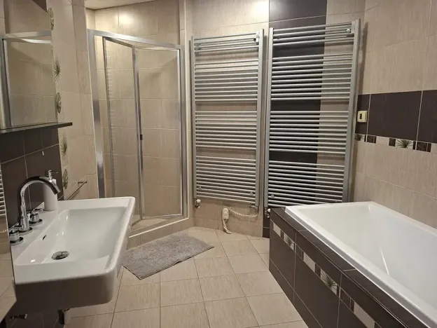Pronájem rodinného domu, Staré Město, 180 m2