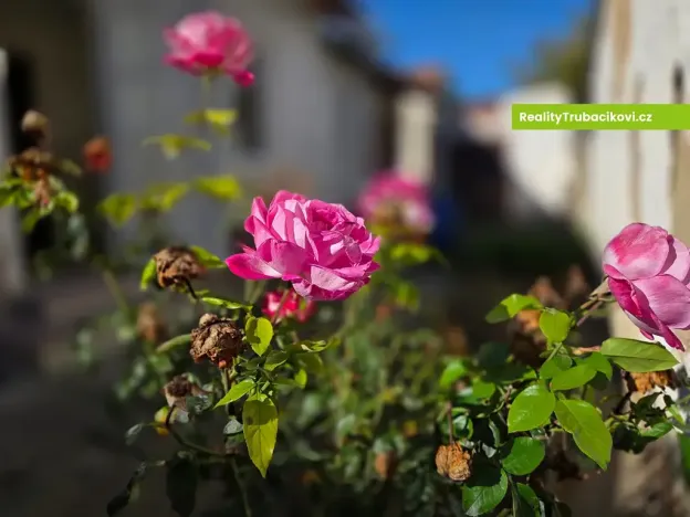 Prodej rodinného domu, Uherský Ostroh, 70 m2