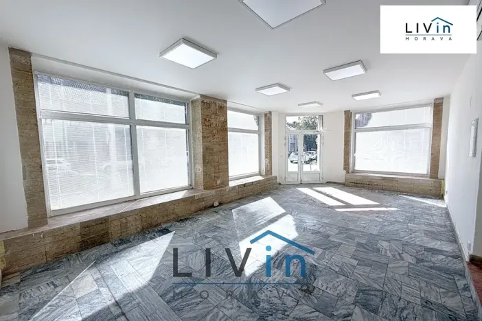 Pronájem obchodního prostoru, Olomouc, Smrčkova, 48 m2