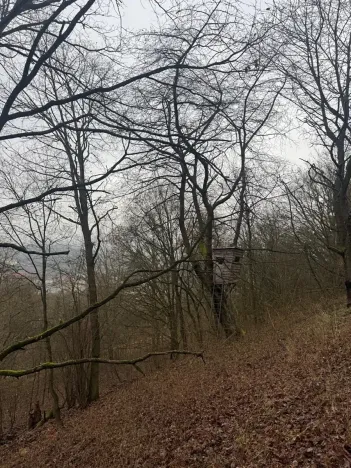 Prodej lesa, Ústí nad Labem, 9837 m2