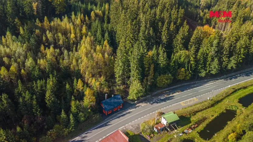 Prodej obchodního prostoru, Železný Brod - Těpeře, 100 m2