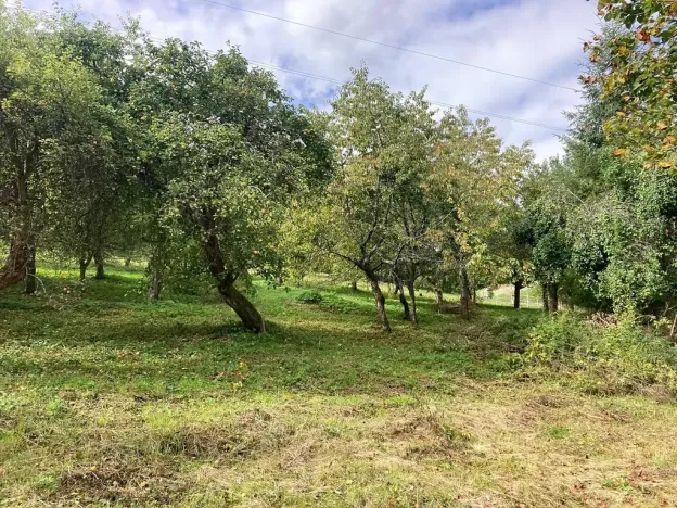 Prodej pozemku pro bydlení, Plavy, 1132 m2
