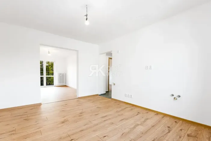 Prodej bytu 3+kk, Ostrava, Dělnická, 49 m2