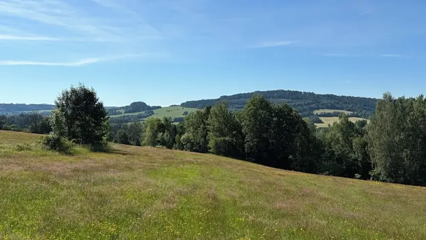 Prodej louky, Háje nad Jizerou, 3927 m2