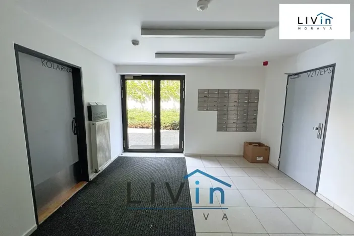 Pronájem bytu 1+kk, Olomouc, Rokycanova, 43 m2
