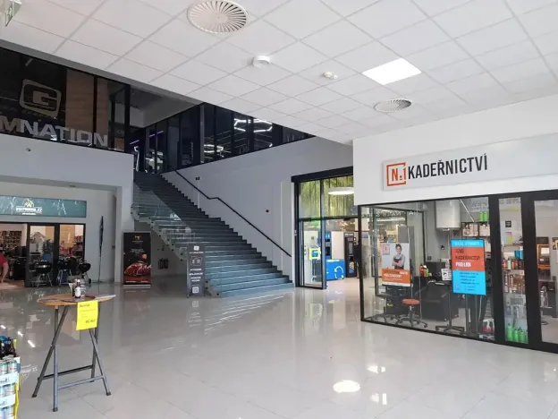 Pronájem obchodního prostoru, Brno, Kaštanová, 190 m2