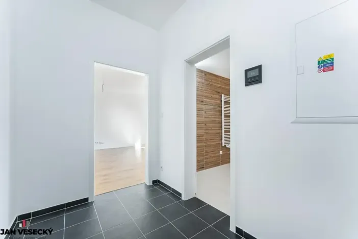 Prodej bytu 1+kk, Plzeň, Železná, 38 m2