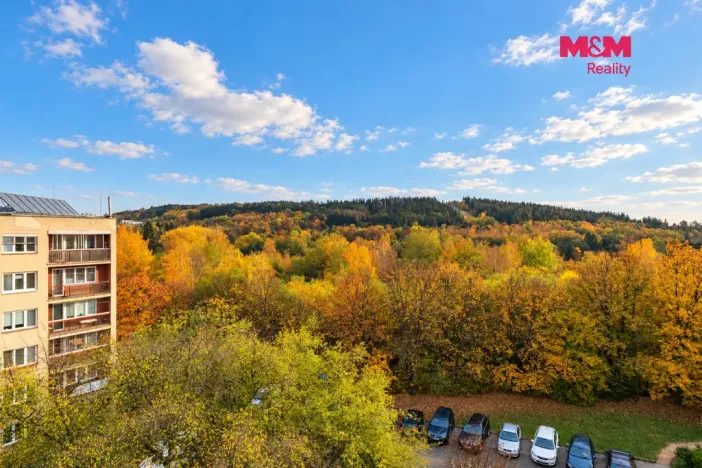 Prodej bytu 3+1, Příbram - Příbram VIII, Školní, 87 m2