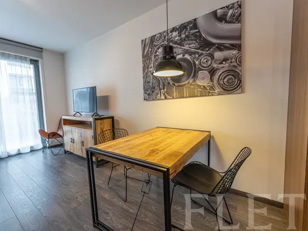Pronájem bytu 1+kk, Praha - Karlín, Sokolovská, 31 m2