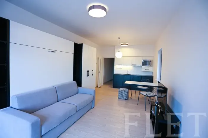 Pronájem bytu 1+kk, Praha - Karlín, U Mlýnského kanálu, 36 m2