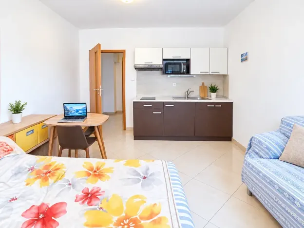 Prodej bytu 1+kk, Brno, Svitavská, 29 m2