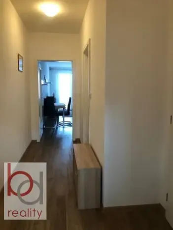 Pronájem bytu 1+kk, České Budějovice, Krčínova, 38 m2