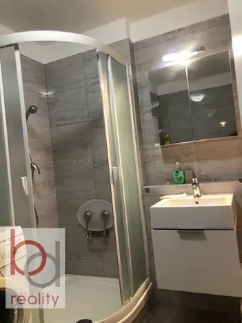 Pronájem bytu 1+kk, České Budějovice, Krčínova, 38 m2