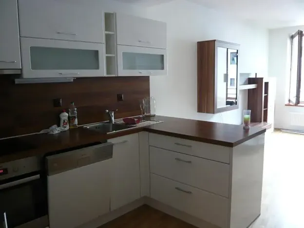 Prodej bytu 2+kk, Brno, Vinohrady, 55 m2