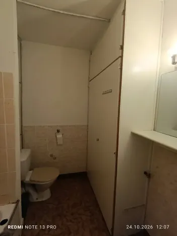 Prodej bytu 1+1, Frýdek-Místek, Anenská, 40 m2
