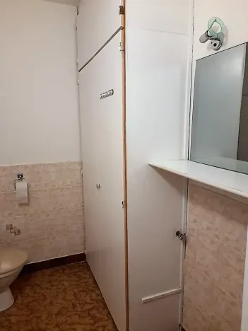Prodej bytu 1+1, Frýdek-Místek, Anenská, 40 m2